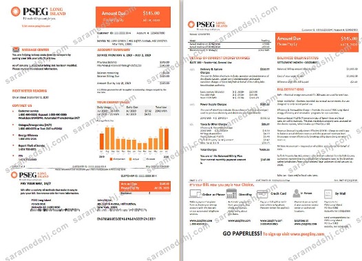 USA Long Island PSEG electricity